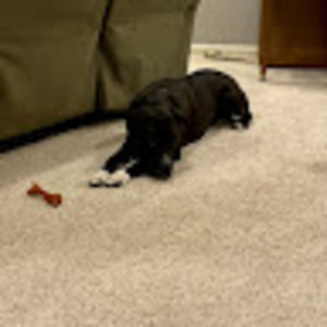 Meet your Posher, Annastyn